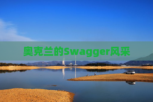 奥克兰的Swagger风采